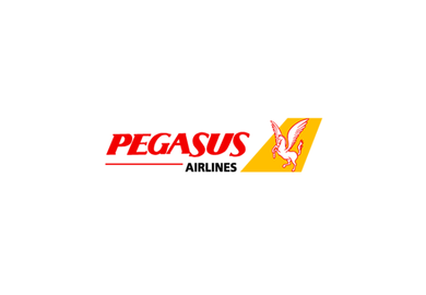 Pegasus Uçak Bileti